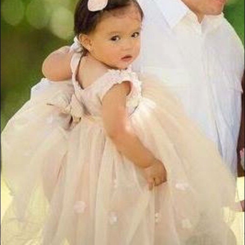 Holiday Tulle dress 2T